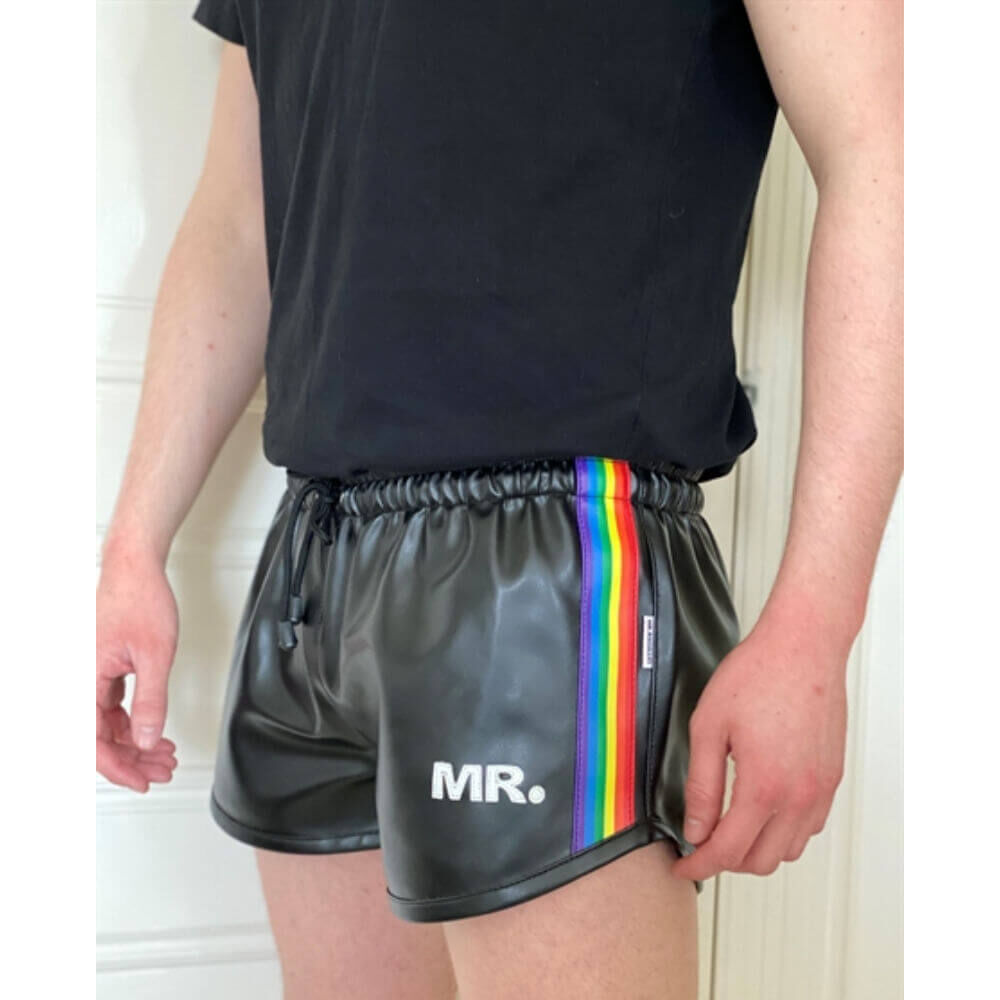Mr. Riegillio Pride Shorts XS, image 2