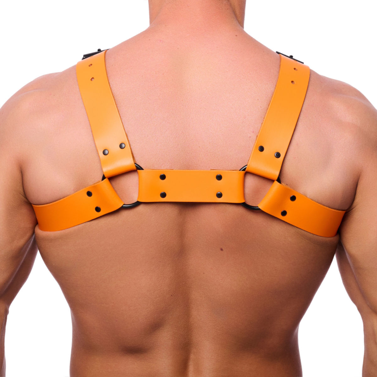 The Red Bulldog Harness - Orange, Bild 2