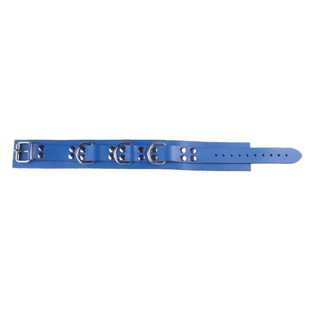 Leather Collar Blue, Bild 2