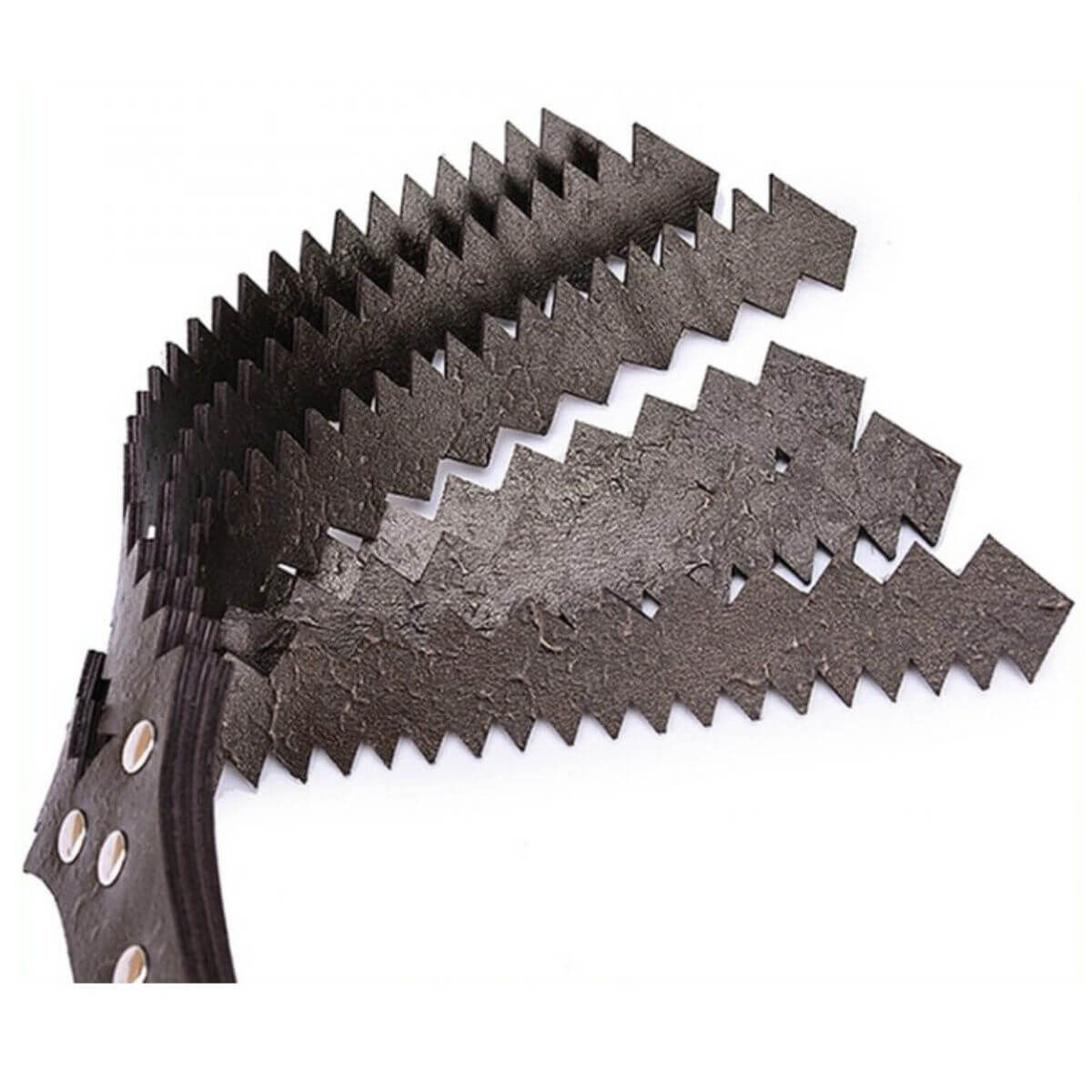 Sawtooth Paddle, image 3