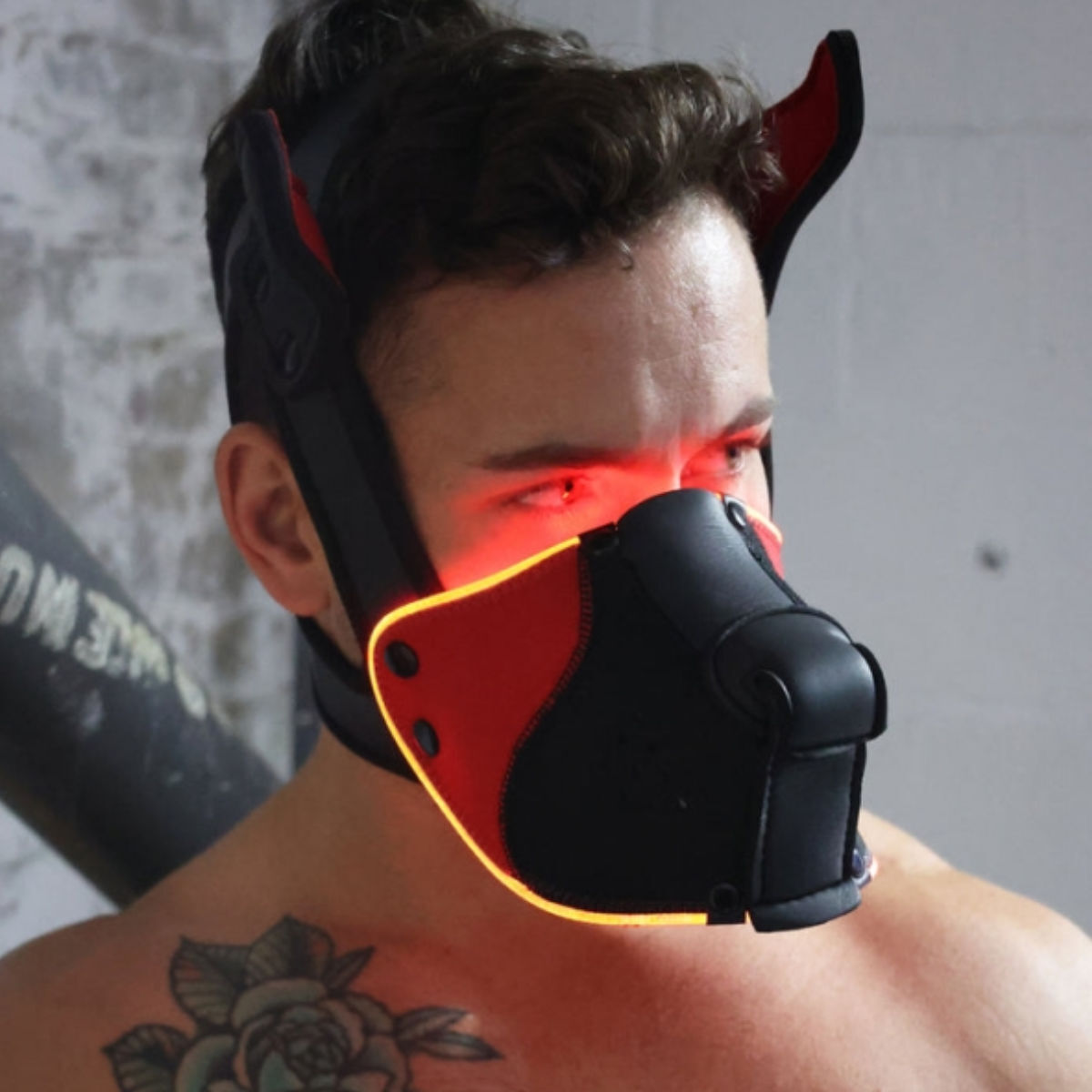 Breedwell LED Puppy Hood Black Red Breedwell LED Puppy Hood Black Red
