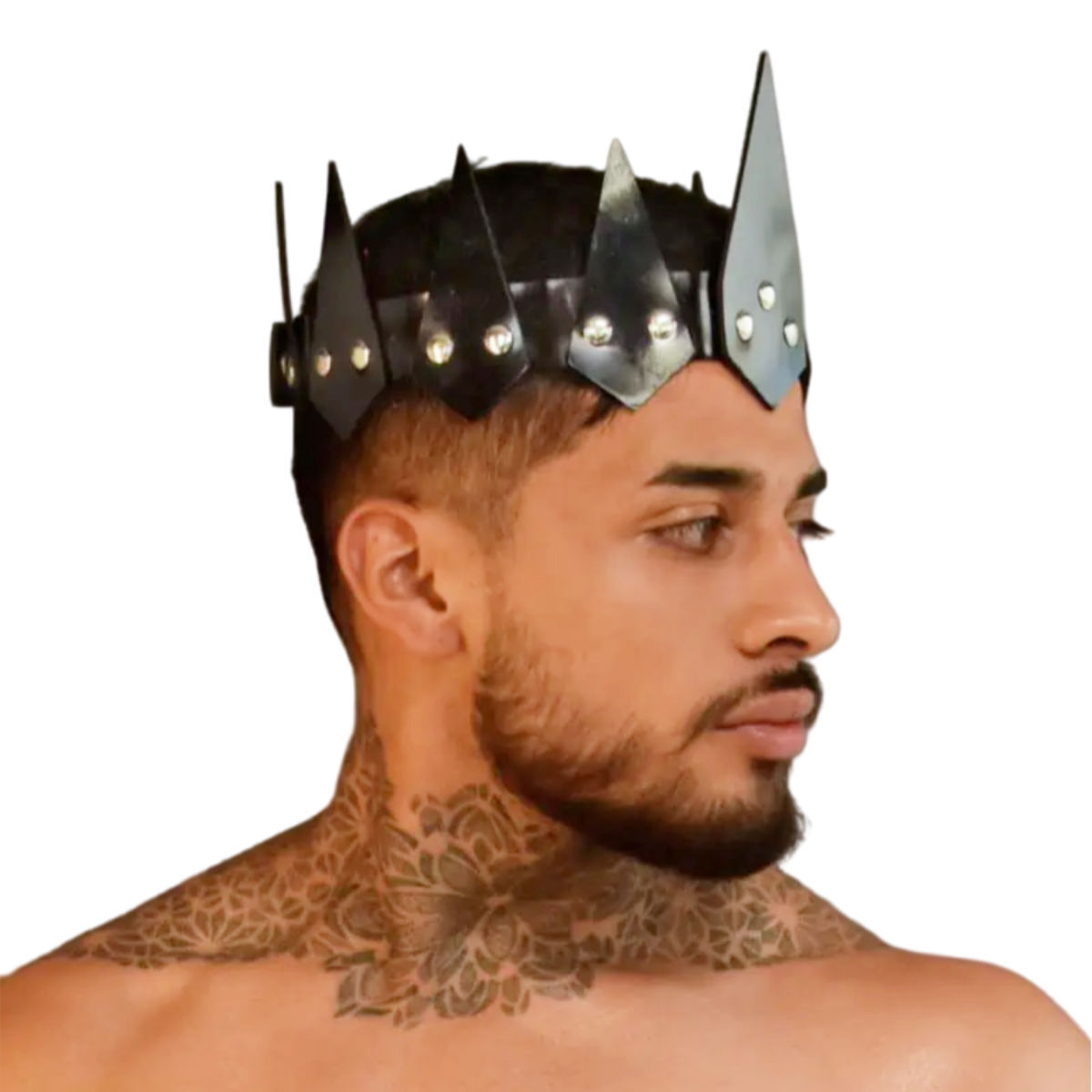 Dale Mas Fetish Crown, Bild 4