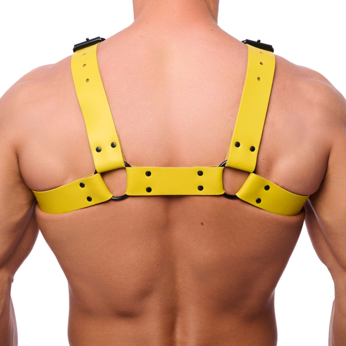 The Red Bulldog Harness - Yellow, Bild 2