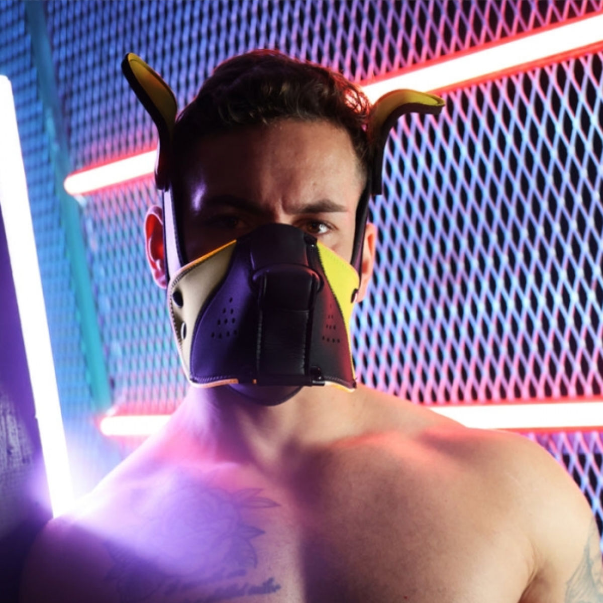 Breedwell LED Puppy Hood Black Yellow Breedwell LED Puppy Hood Black Yellow