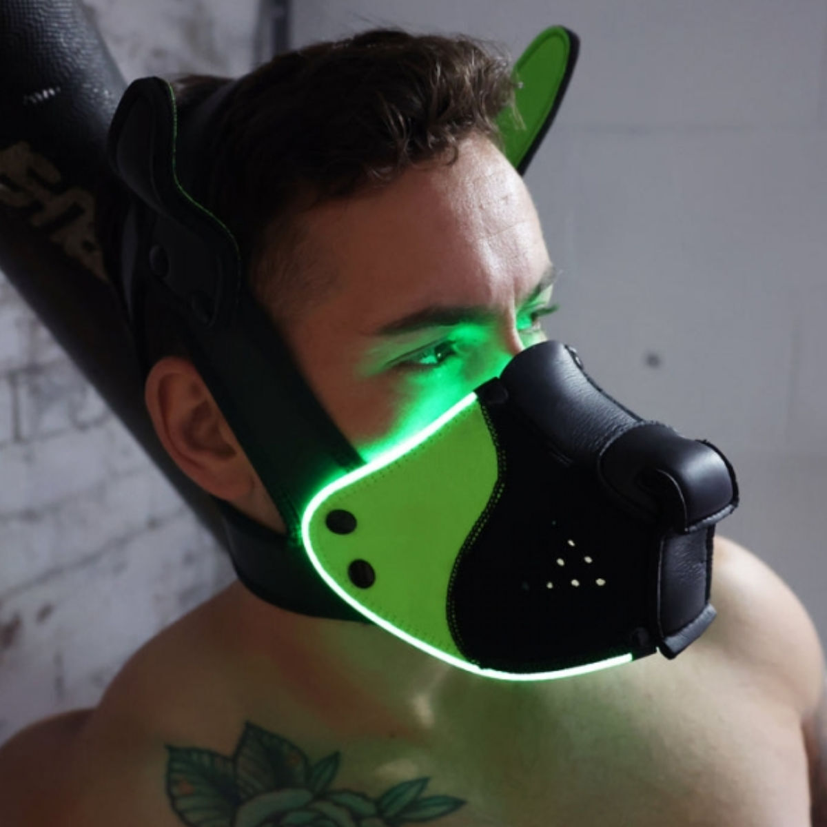 Breedwell LED Puppy Hood Black Green, Bild 4