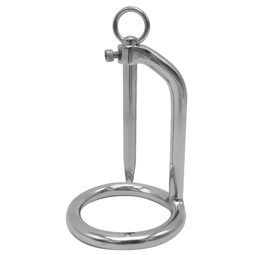 Penis Plug + Cock Ring