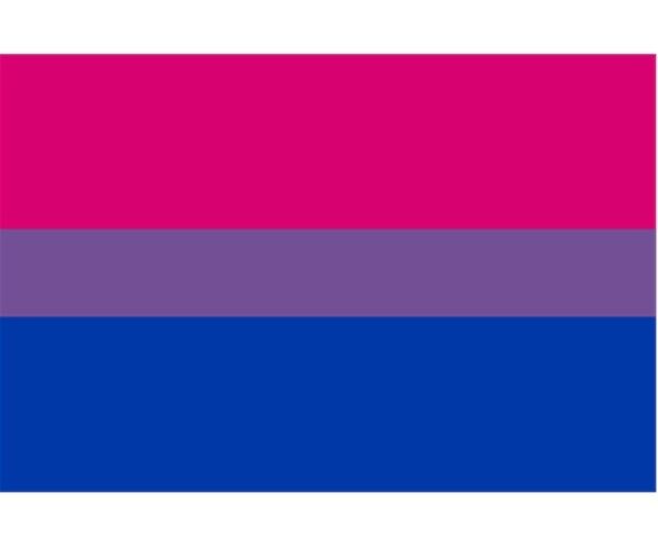 Bisexual Pride Flag with eyelets 90x150 cm, image 2