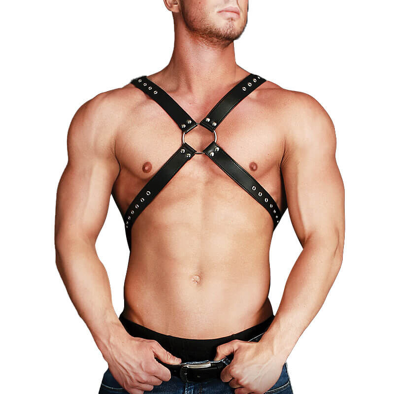 Harness Adonis Harness Adonis