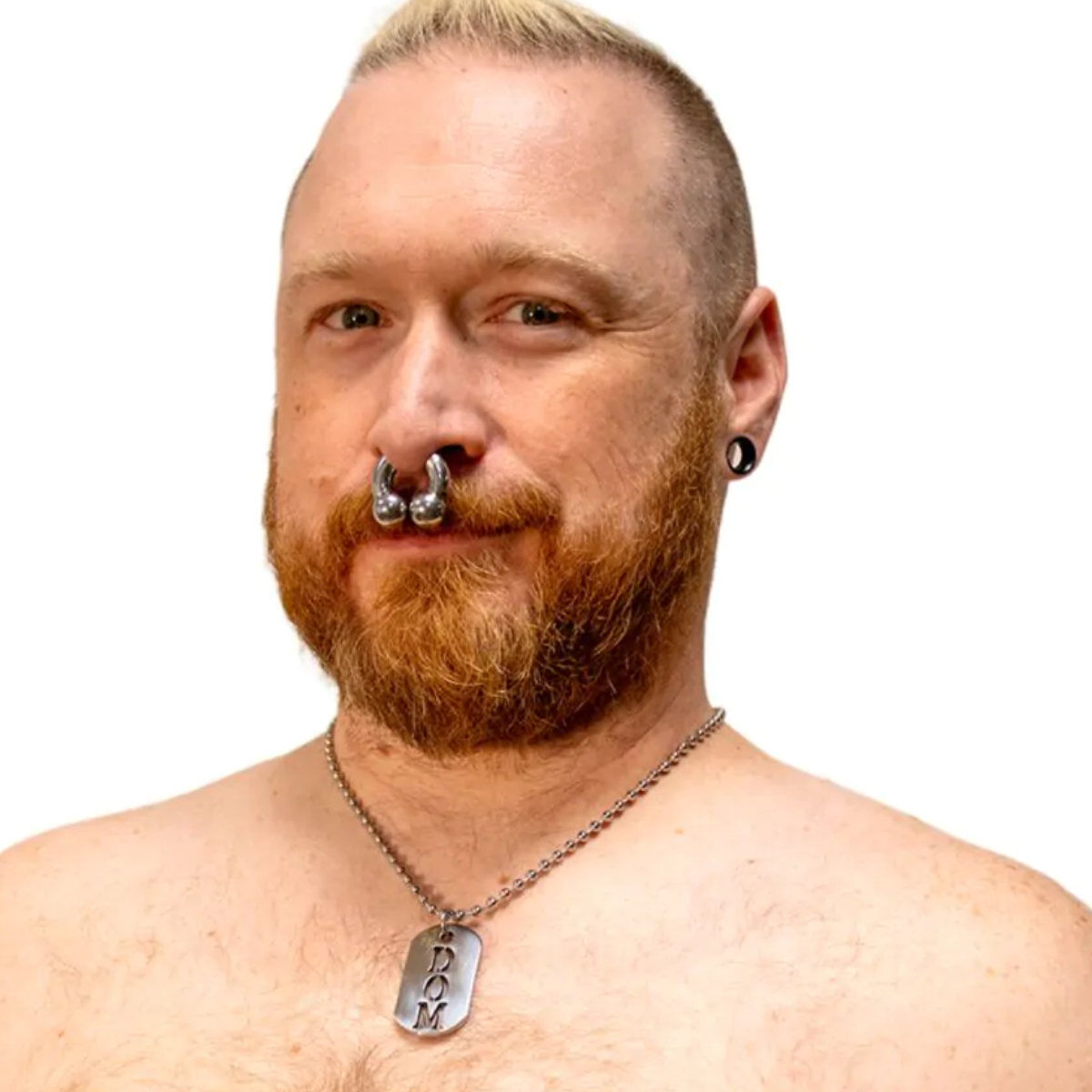 Steel Dog Tag DOM, image 2