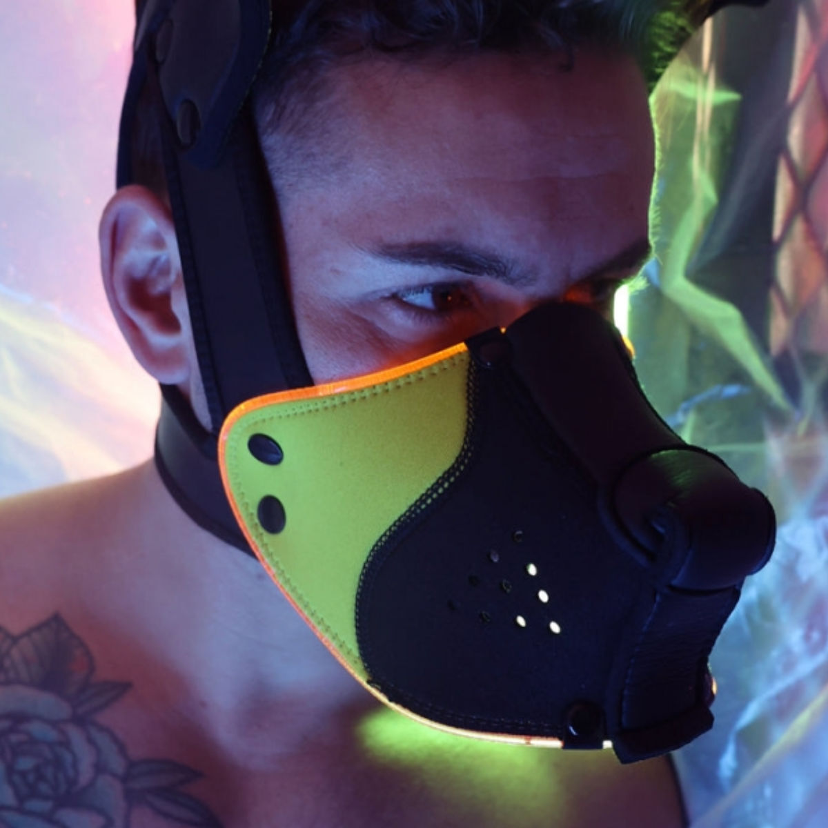 Breedwell LED Puppy Hood Black Yellow, Bild 3