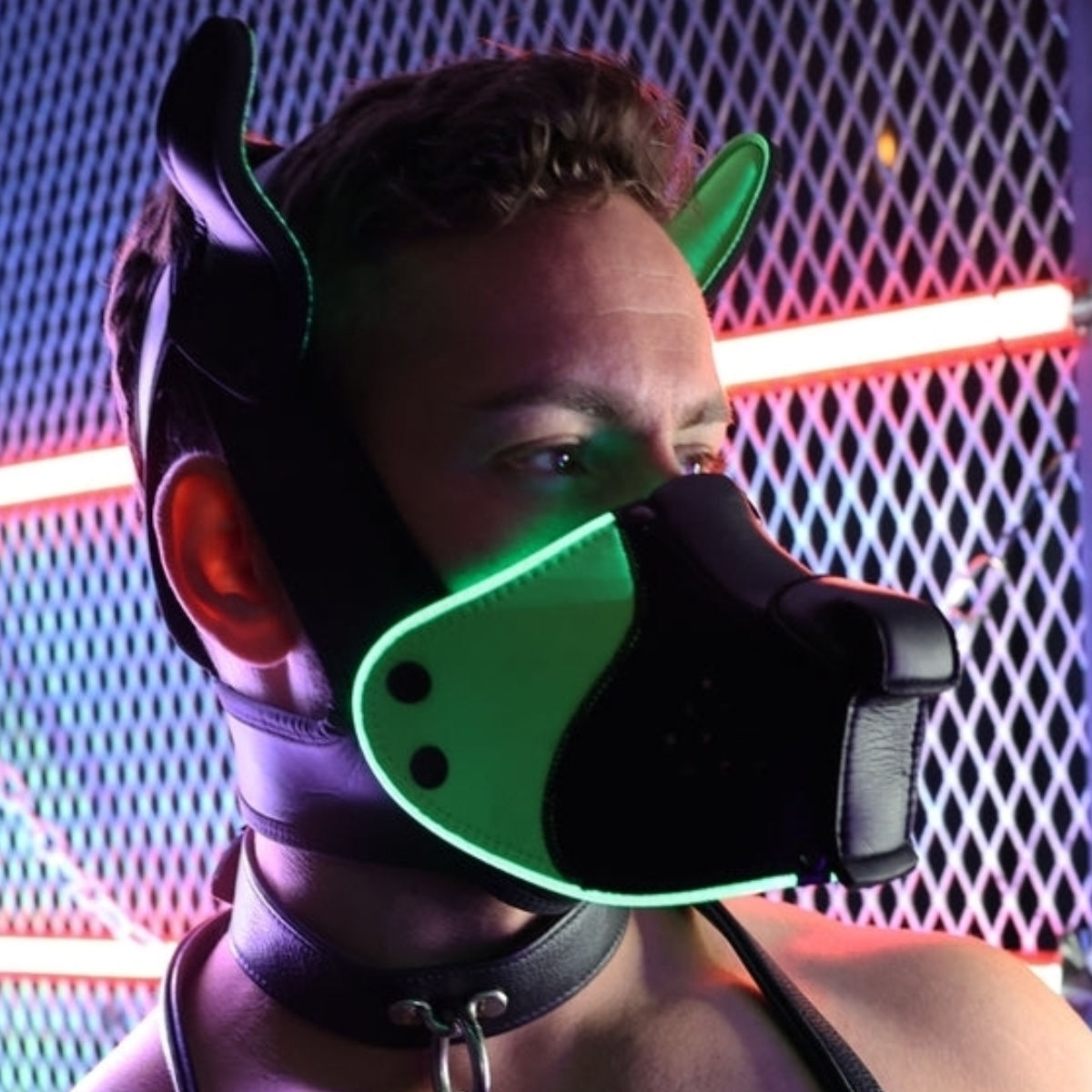 Breedwell LED Puppy Hood Black Green Breedwell LED Puppy Hood Black Green