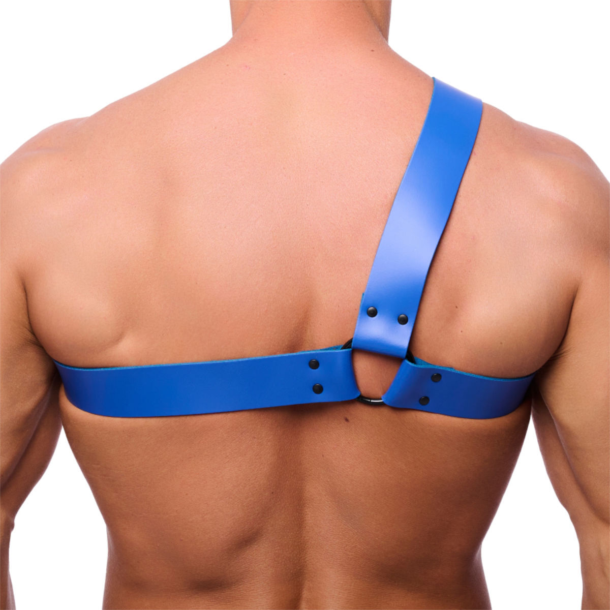 The Red Chest Strap Harness - Blue, Bild 2