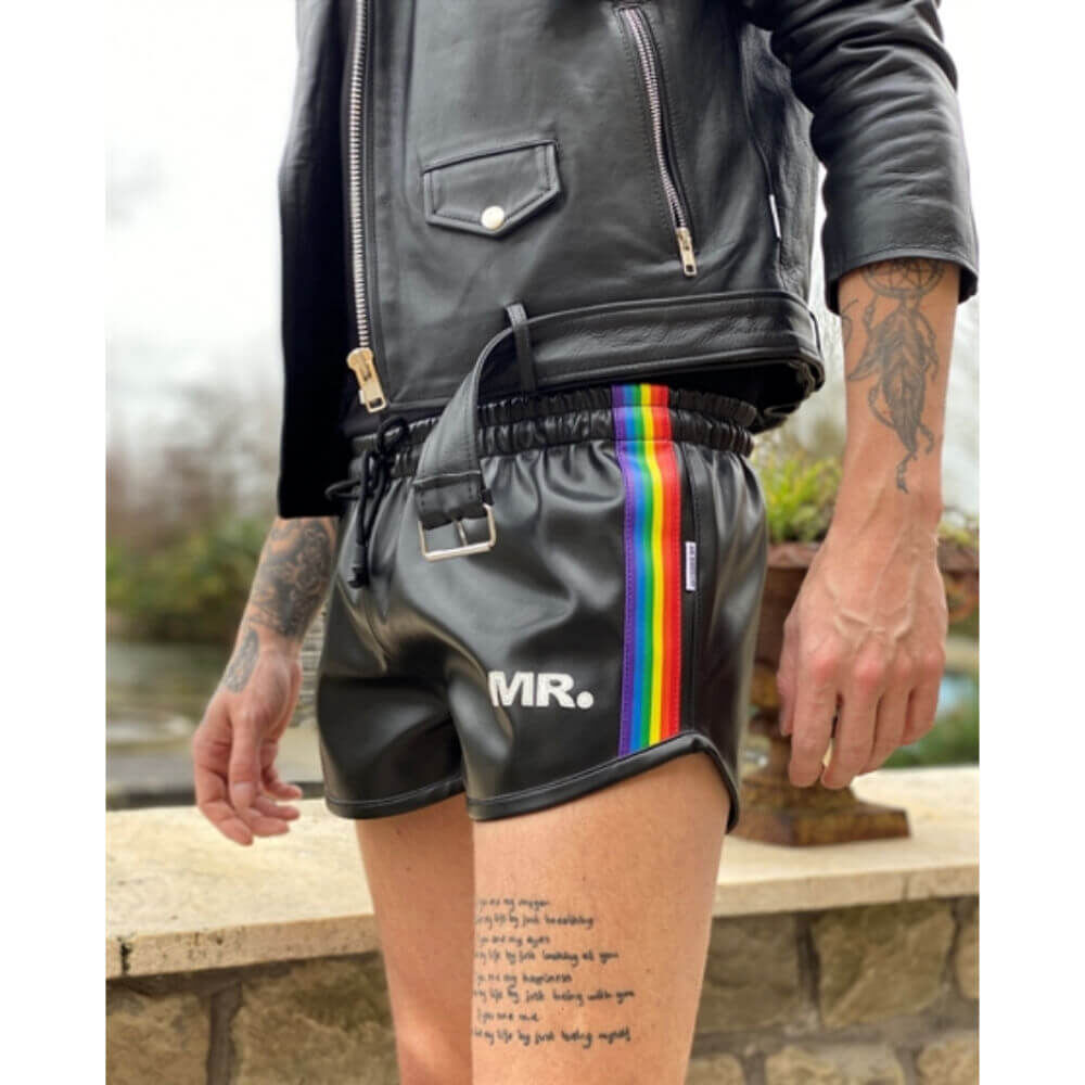 Mr. Riegillio Pride Shorts XS, image 3