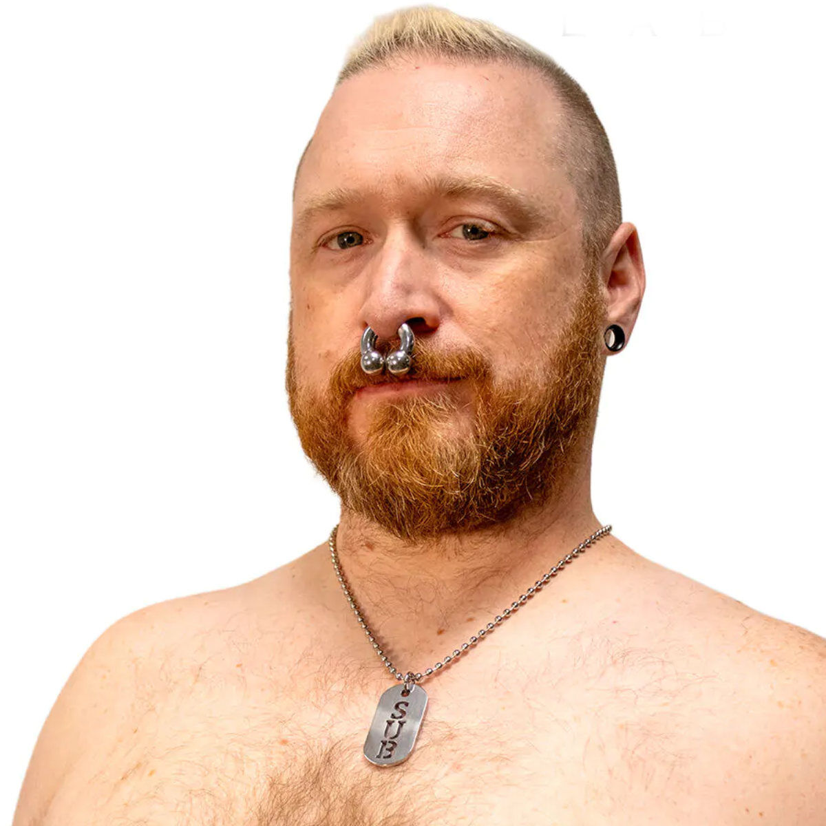 Steel Dog Tag SUB, image 2