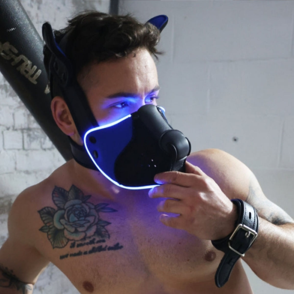 Breedwell LED Puppy Hood Black Blue, Bild 2
