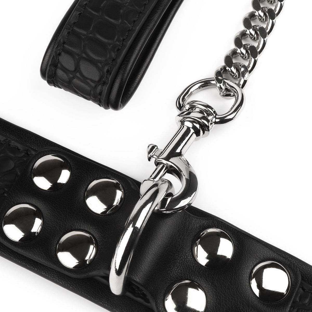 Avanza Beast Collar & Leash, image 5