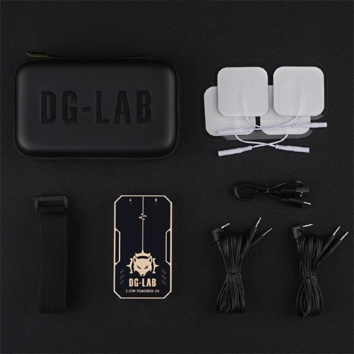 Dungeon Lab Coyote 3.0 E-Stim Powerbox, Bild 3