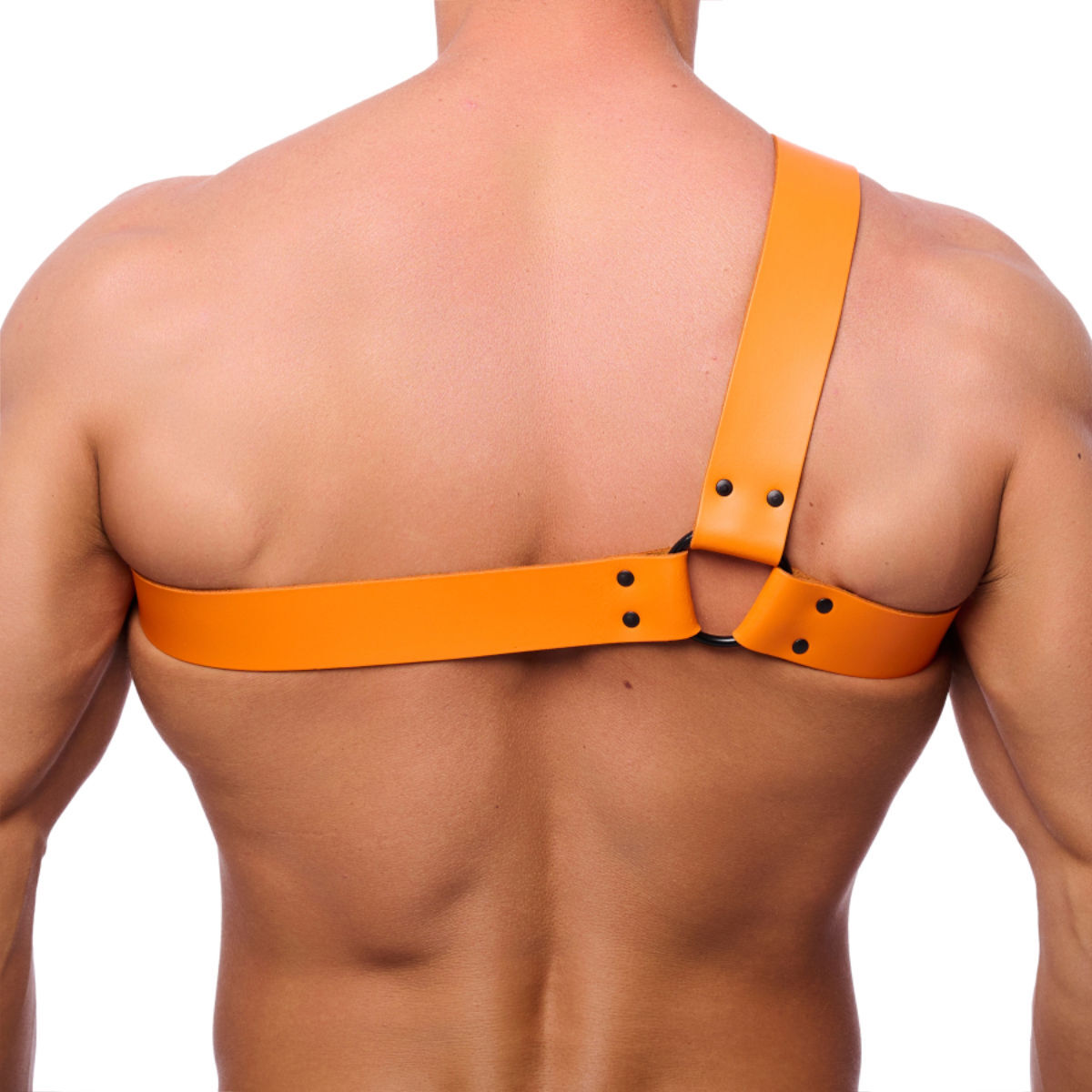 The Red Chest Strap Harness - Orange, Bild 2