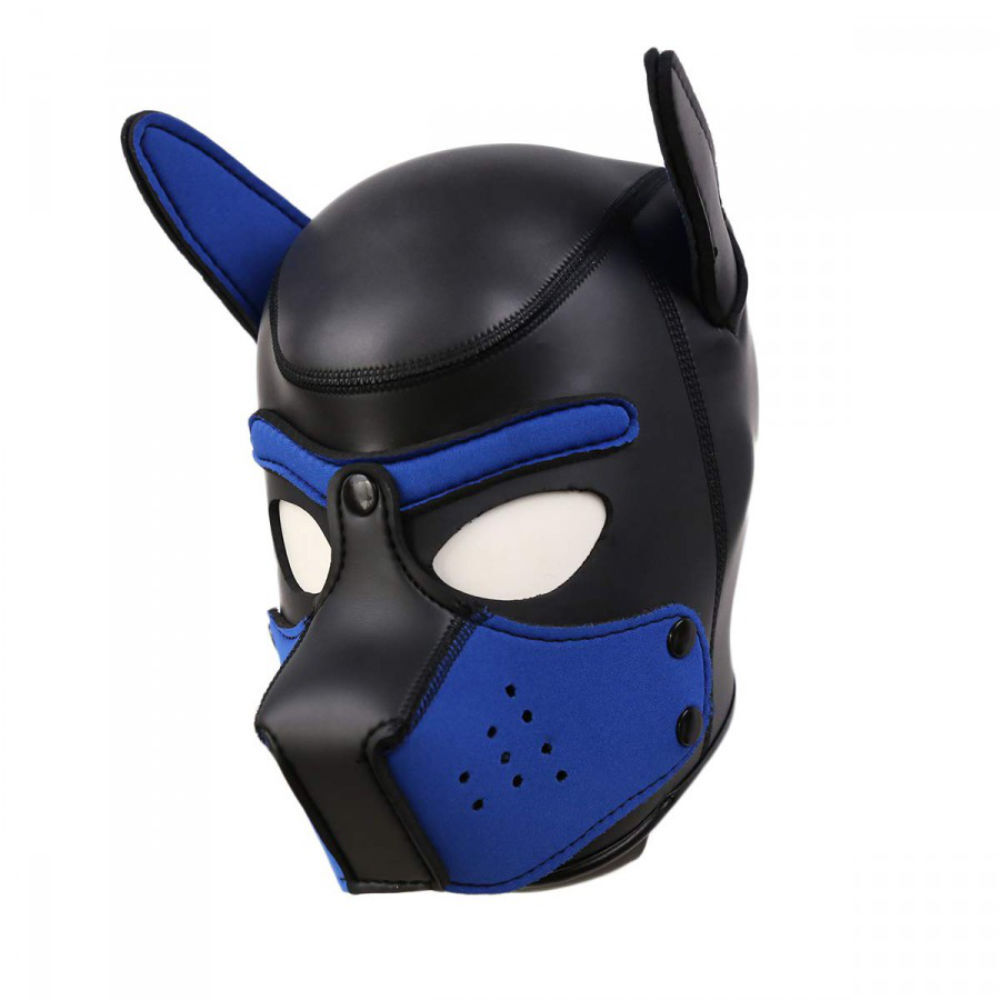 Neopren Puppy Hood Blue, Bild 4