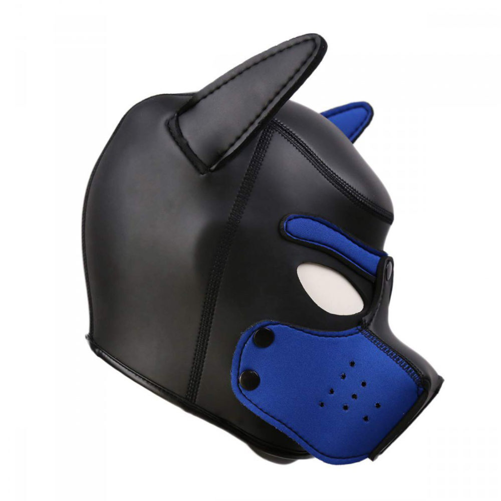 Neopren Puppy Hood Blue, Bild 3