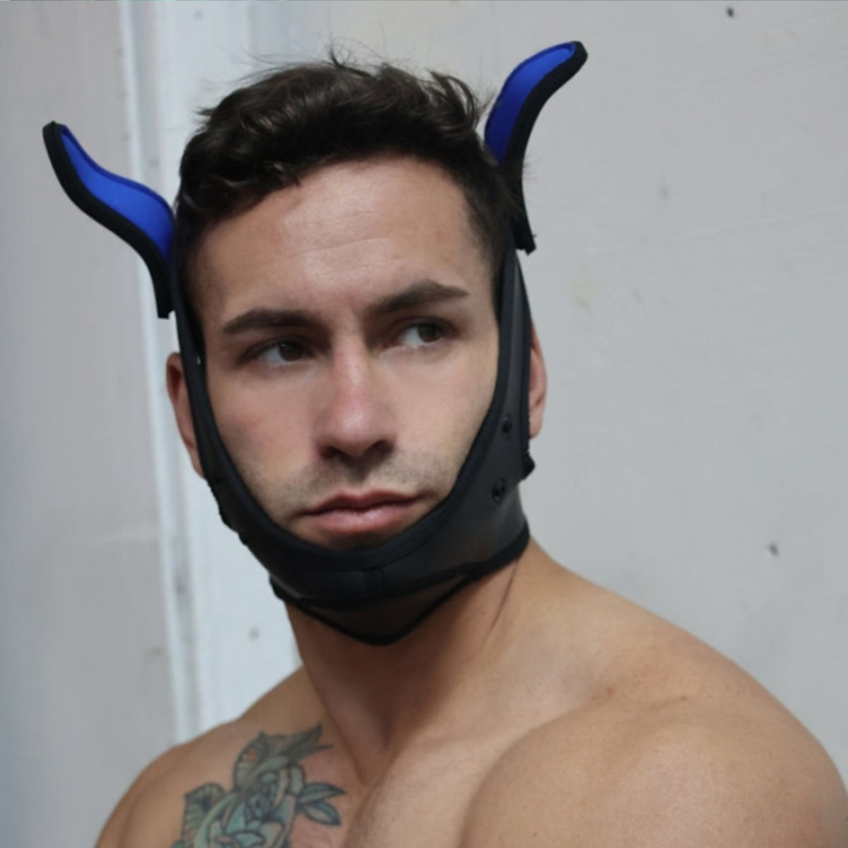 Breedwell LED Puppy Hood Black Blue, Bild 3