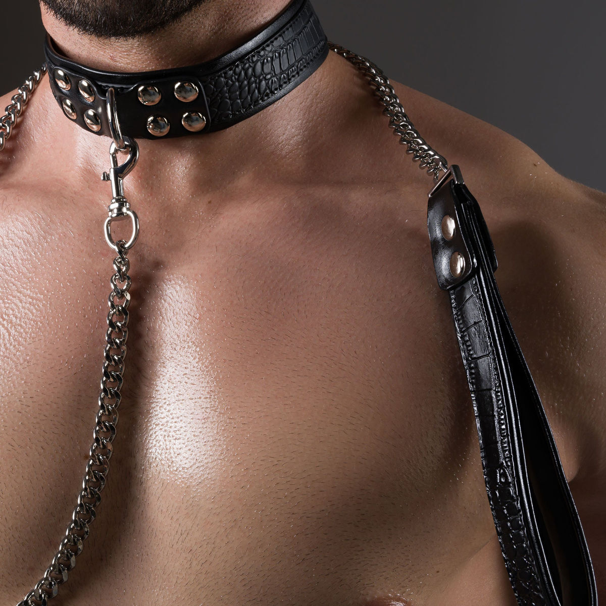 Avanza Beast Collar & Leash, image 2
