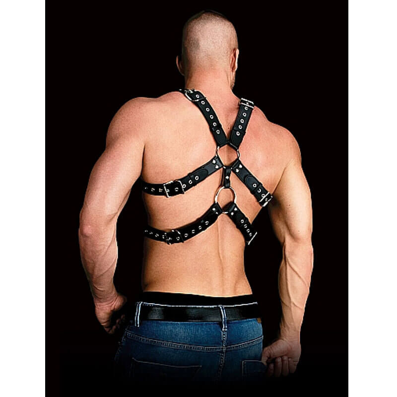Harness Andreas, image 2