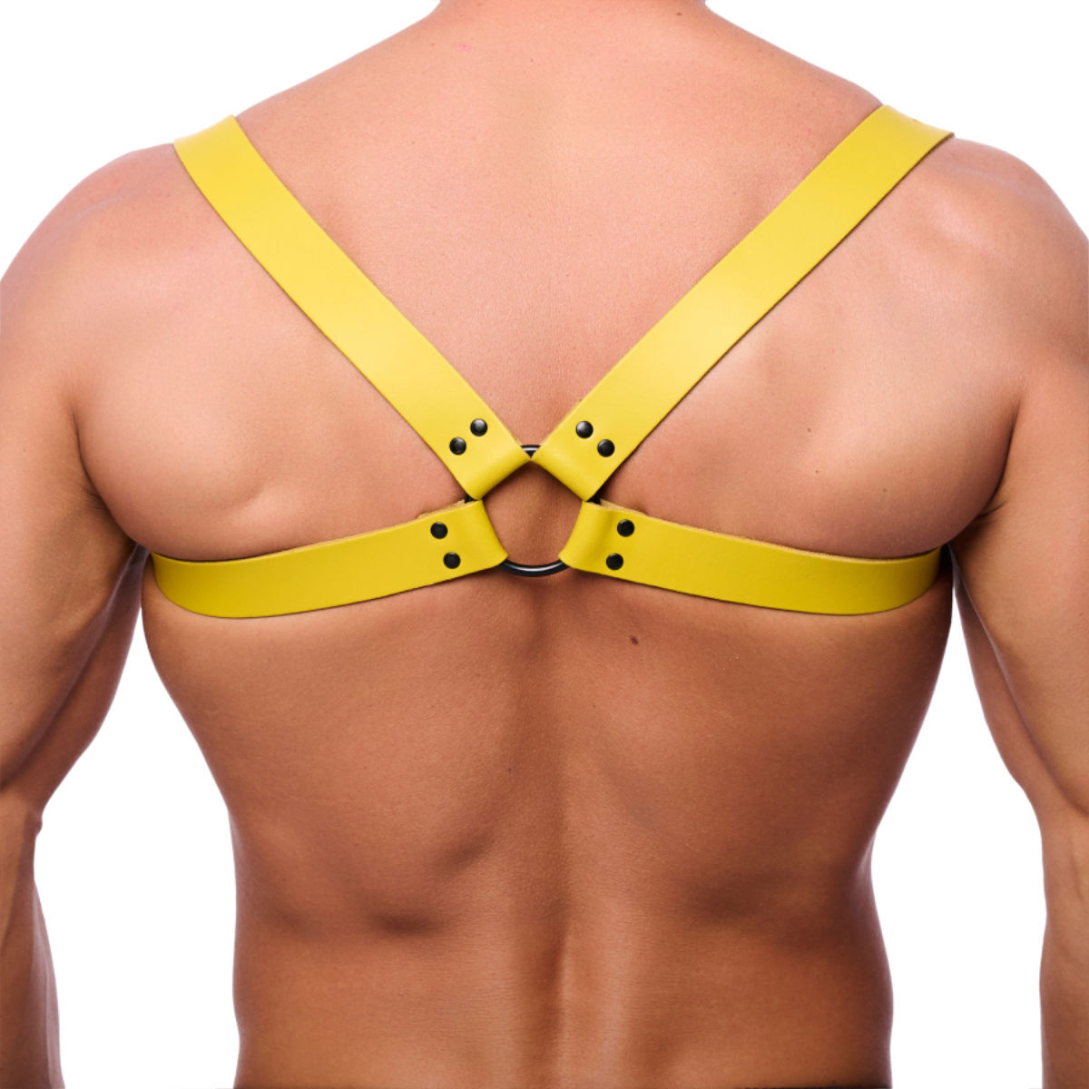 The Red Shoulder Harness - Orange, Bild 2