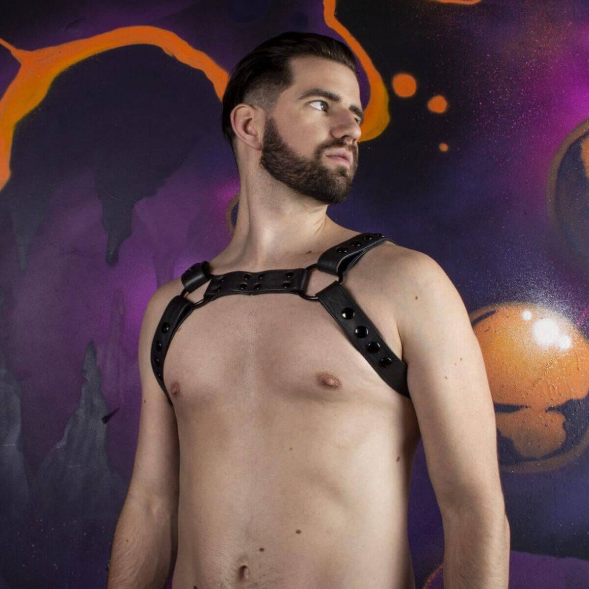 Streamline Bulldog Harness - L/XL, Bild 3