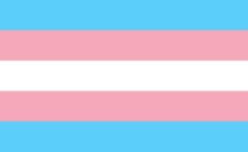 Transgender Pride Flag with eyelets 90x150 cm, image 2