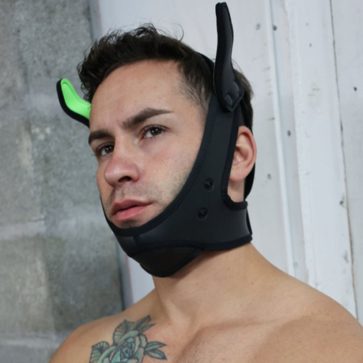 Breedwell LED Puppy Hood Black Green, Bild 3