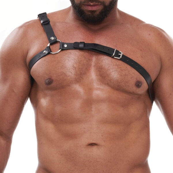 Mister B - Style Harness | Tom Rocket's