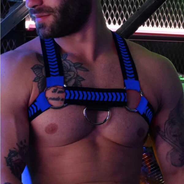 Nightcrawler Blue Harness | Tom Rocket's
