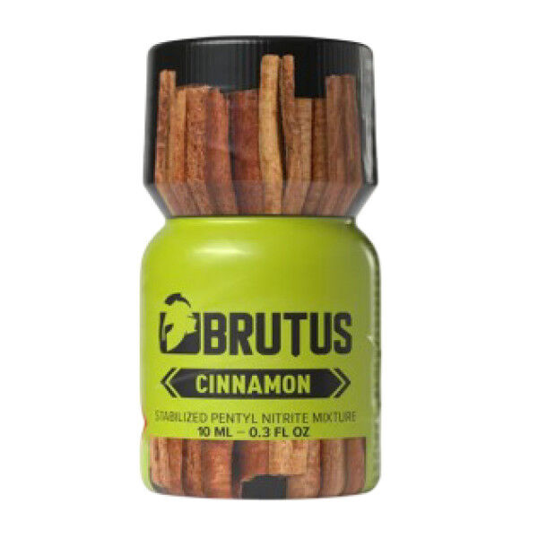Brutus Cinnamon Small | Tom Rocket's